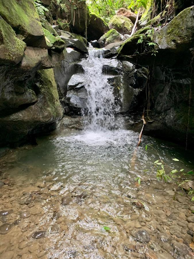 Wild Wasi Lodge - Adventures - Guided Tours ปูโย ภายนอก รูปภาพ