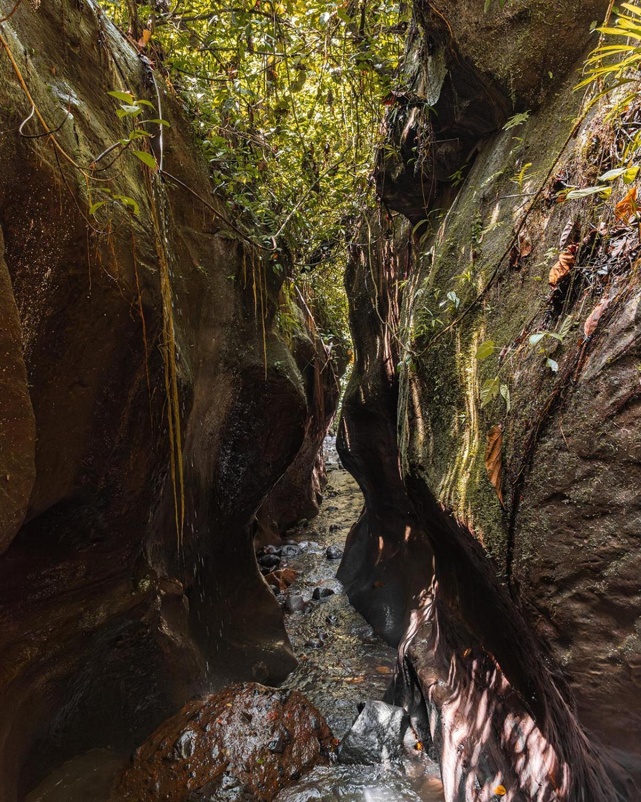 Wild Wasi Lodge - Adventures - Guided Tours ปูโย ภายนอก รูปภาพ