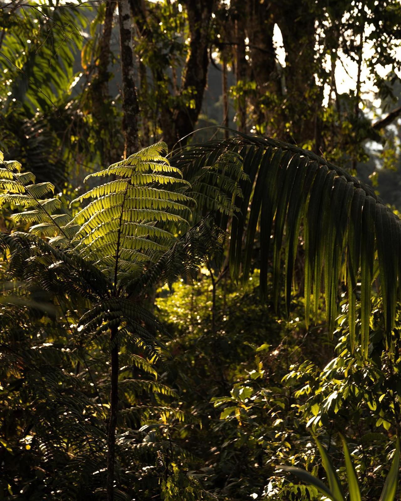 Wild Wasi Lodge - Adventures - Guided Tours ปูโย ภายนอก รูปภาพ