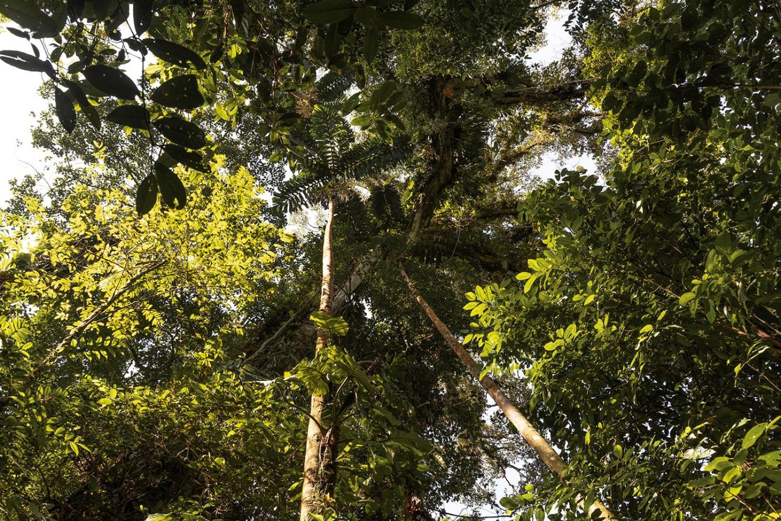Wild Wasi Lodge - Adventures - Guided Tours ปูโย ภายนอก รูปภาพ