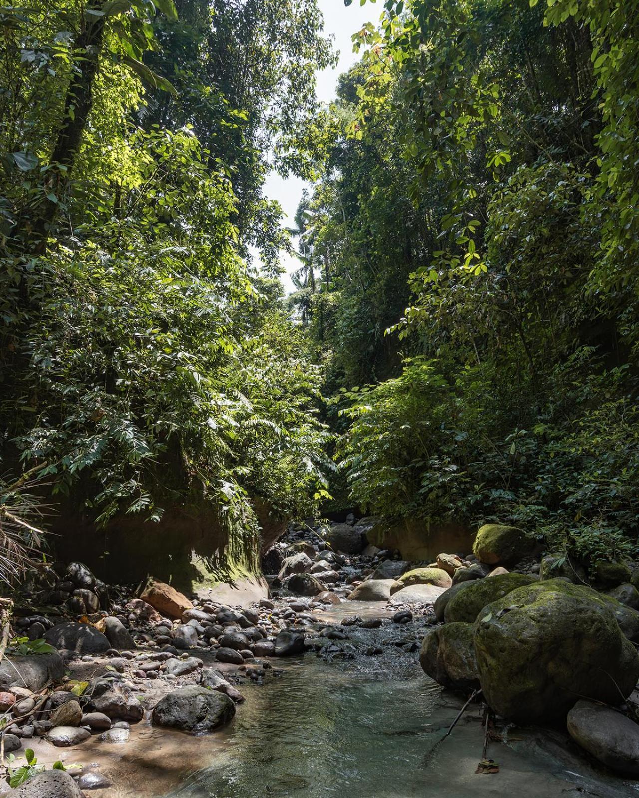 Wild Wasi Lodge - Adventures - Guided Tours ปูโย ภายนอก รูปภาพ